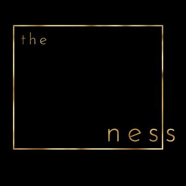 Ness logo